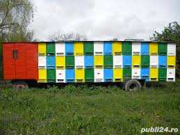 Cel mai mare depozit de echipamente apicole din romania. Pavilion Apicol Modular Adroi Food