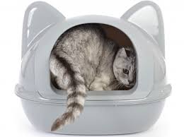 Certes, elle est un peu plus chère que la concurrence, mais vous échappez totalement aux odeurs et au désordre. Litiere Pour Chat 10 Choses A Savoir Blog