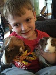 It was Sammy's birthday the other day he's 2 years old my big boy :)