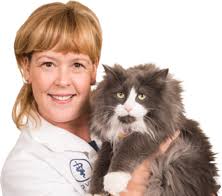 41 highlands animal hospital jobs available on indeed.com. Home Mobile Commerce Village Veterinary Hospital