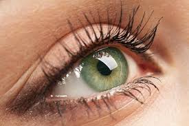 Deshalb Sind Menschen Mit Grunen Augen So Besonders People With Green Eyes Beautiful Eyes Color Green Eyes