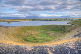 Image result for Pseudovigna