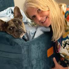 Bench seat with storage for DIY project for sale