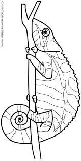 You may even spot an ariel lookalike in this bunch o. Lizard Coloring Page Audio Stories For Kids Free Coloring Pages Colouring Printables