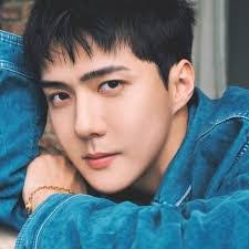 Hyojoo Lee's Instagram, Twitter & Facebook