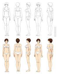 Girls full body picture anatomy. Pin On Sketch
