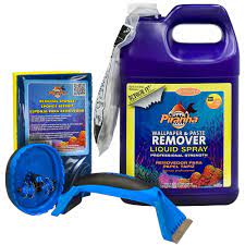 Good bones home vs the wallpaper round 1. Roman 1 Gal Piranha Liquid Spray Wallpaper Removal Kit For Small Sized Rooms 209930 The Home Depot