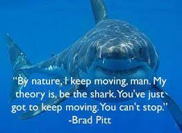 Do Sharks Drown If They Stop Swimming