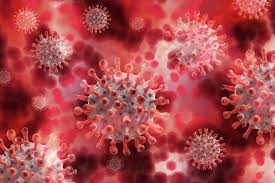 Al die kleuren hebben een eigen betekenis: Zuid Afrikaanse Variant Coronavirus In Oostende Extra Maatregelen Bart Tommelein