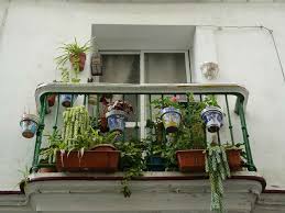 Landlords have clauses in the lease that allow them to remove tenants who don't. Nsw Q A Are Hanging Plants On Balcony A Safety Issue