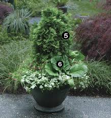 From '5th and state', this winter garden planter is a perfect example of using both living plants and branches. 10 Plants For Year Round Containers Finegardening