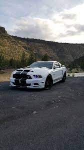 2014 Ford Mustang Gt Cs Street Racing Cars 2014 Ford Mustang Mustang Cars