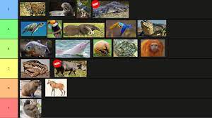 The Brazilian Animals Tier List V2 Explanations On The Comment Section Tierzoo