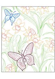 What is as colorful as flowers? Beautiful Butterflies Adult Coloring Book Jessica Mazurkiewicz 9780486807775 Christianbook Com