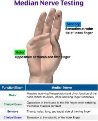 Image result for Hand Exam