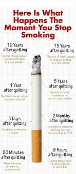 We did not find results for: Pin On Clean Lungs