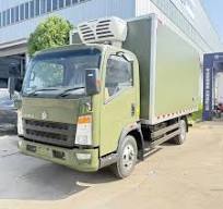 Sinotruk Howo 12 Ton Diesel Refrigerator Truck 4x2 Steel Heavy Duty New  Condition for Frozen Meat and Fish Transport