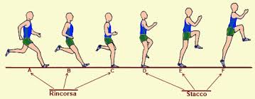 Maybe you would like to learn more about one of these? I Salti Nell Atletica Leggera Lessons Blendspace