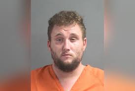 BookTrib's Bites: From Sci-Fi and Thrillers to Historical Reads