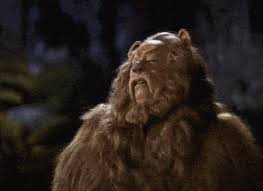 High Quality GIFs - Find & Share on GIPHY