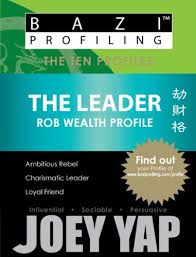 Bazi Profiling Series The Leader Rob Wealth Profile