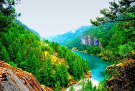 Download hd 8k wallpapers best collection. Nature Ultra Hd Wallpapers 8k 3840x2160 Wallpaper Teahub Io