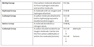 structure of biochemical compounds sbi 4u website