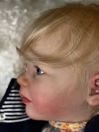 Reborn Dolls and Lifelike Baby Dolls