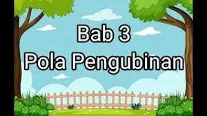 Menjelaskan makna * bilangan cacah * sampai dengan 99 sebagai banyak anggota suatu kumpulan objek. Pola Pengubinan Kelas 1 Sd Youtube