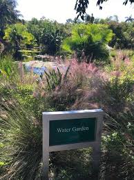 Naples Botanical Garden In 2020 Botanical Gardens Water Garden Garden