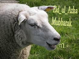 # islam # muslim # eid # eid mubarak # eid al adha. Eid Facebook Gif Find On Gifer