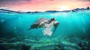 Global coordinator of break free from plastic, von hernandez, said that the future is not disposable and the plastic pollution crisis can be averted. 100 Plastic In The Ocean Statistics Facts 2020 2021