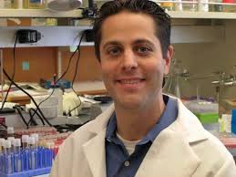 Blocking a key protein boosts immune system's ability to clear chronic  infection