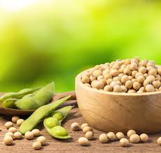 We did not find results for: 10 Rekomendasi Makanan Enak Dan Sehat Yang Terbuat Dari Kacang Kedelai