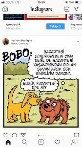 Gurgur Adli Kullanicinin Bobo Kopek Karikatur Panosundaki Pin Karikatur Kopek
