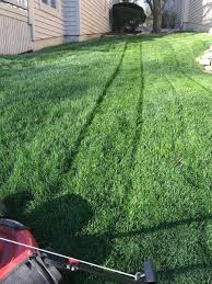 Some of the things that separate me from other lawnmowing companies throughout. Lawn Care Photos The Proof Is In The Pictures Best Lawn Care Service