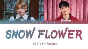 Lyrics to song snow flower by park hyo shin: Bts V Snow Flower Feat Peakboy Color Coded Lyrics Han Rom Eng Youtube