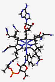Plants contain no vitamin b12 but ruminal and intestinal bacteria can synthesize adequate amounts when sufficient (approximately 0.1 mg cobalt per kg diet dry matter) cobalt is available. Cobamamide 3d Sticks Vitamin B12 Structure 3d Transparent Png 934x1333 Free Download On Nicepng