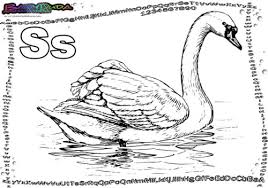 Abc Buchstaben Malvorlage Tiere Zum Ausmalen Babyduda