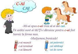 Roma — capitala italiei — un colaj cu imagini din roma: Omonime Cuvinte Cu Mai Multe Sensuri Discipolii Mei Inima Mea