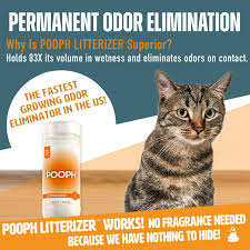Arm & Hammer Multi-Cat Extra Strength Unscented Clumping Litter - Shop  Litter & Litter Boxes At H-E-B