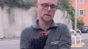 Cronaca Brescia: le notizie di cronaca da città e provincia