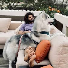 Vijay deverakonda declines role in the upcoming ranveer singh starrer!!! Vijay Deverakonda Has Found A Bestfriend In His Pet Dog Storm And These Photos Prove The Same
