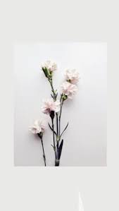 Flowers Wallpaper Tumblr In 2020 Vintage Flowers Wallpaper Blue Flower Wallpaper Rose Flower Wallpaper