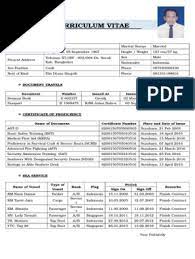 Create a professional cv in just 15 minutes, easy Contoh Cv Pelaut