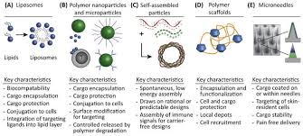 Improving Vaccine And Immunotherapy Design Using Biomaterials Abstract Europe Pmc