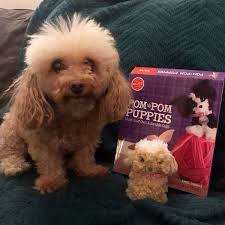 Now you can turn plain yarn into perfectly precious pups. Our Marketing Manager Brittany Made Her Dog Nikki S Twin With Our Pom Pom Puppies Kit Pom Pom Puppies Puppies Pom Pom