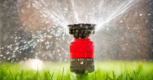 We researched the best sprinklers to help you keep your yard looking vibrant. 11 Best Sprinkler Heads To Water Your Garden In 2021 Geartrench