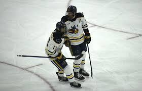 Driven and motivated, Luke Mobley reaches new heights with first-year  Augustana