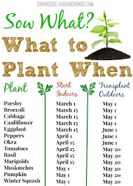 What To Plant When Chart Saving Dollars Sense What To Plant When Plants Veg Garden